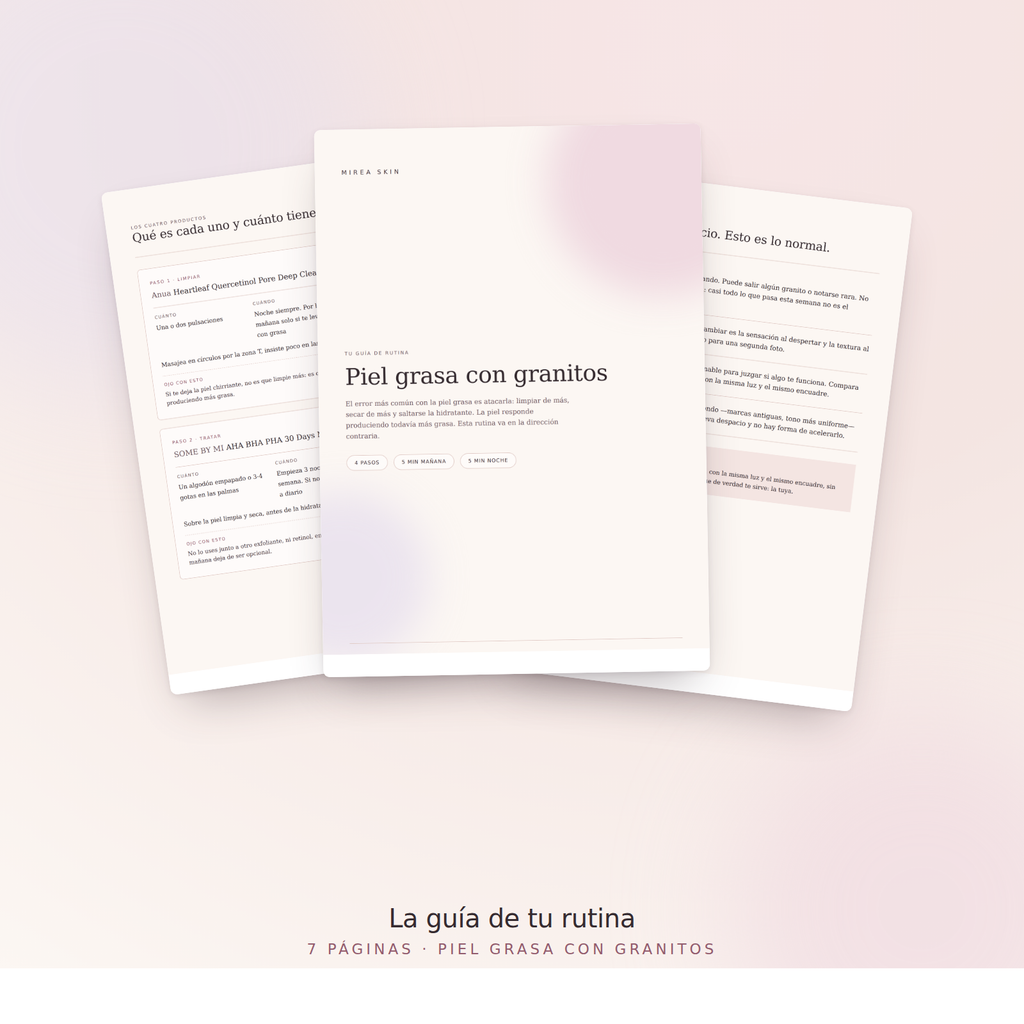 La guía en PDF de la rutina Piel grasa con granitos, 7 páginas